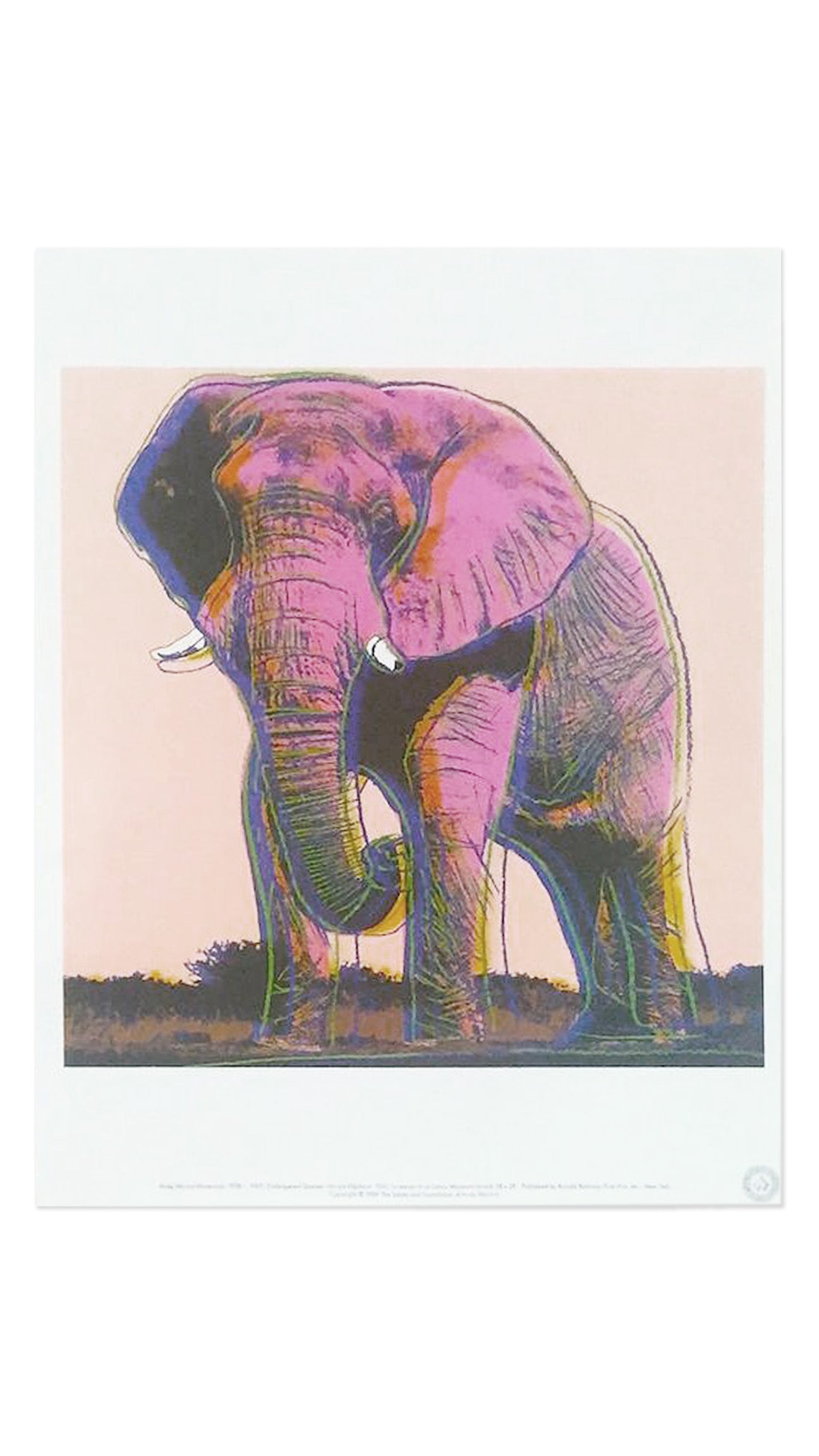 Andy Warhol | 1989 | Endangered Species Complete Portfolio | Authorised Foundation Original Lithographs