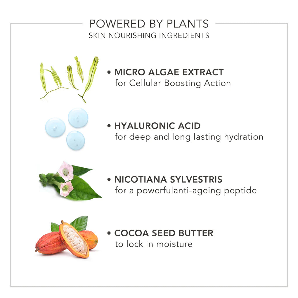 Wake Up | Radiant Eye Perfector by delilah