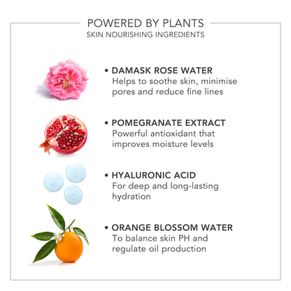 Wake Up | Radiant Hydrating Skin & Make-up Mist by delilah